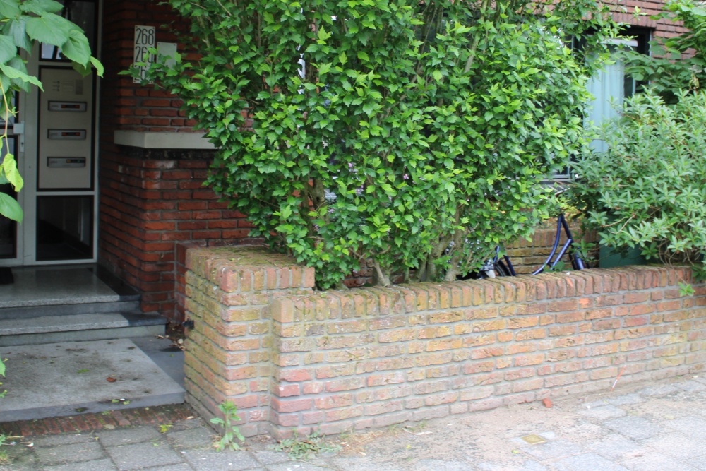 Stumbling Stone Laan van Nieuw Oosteinde 268 #2