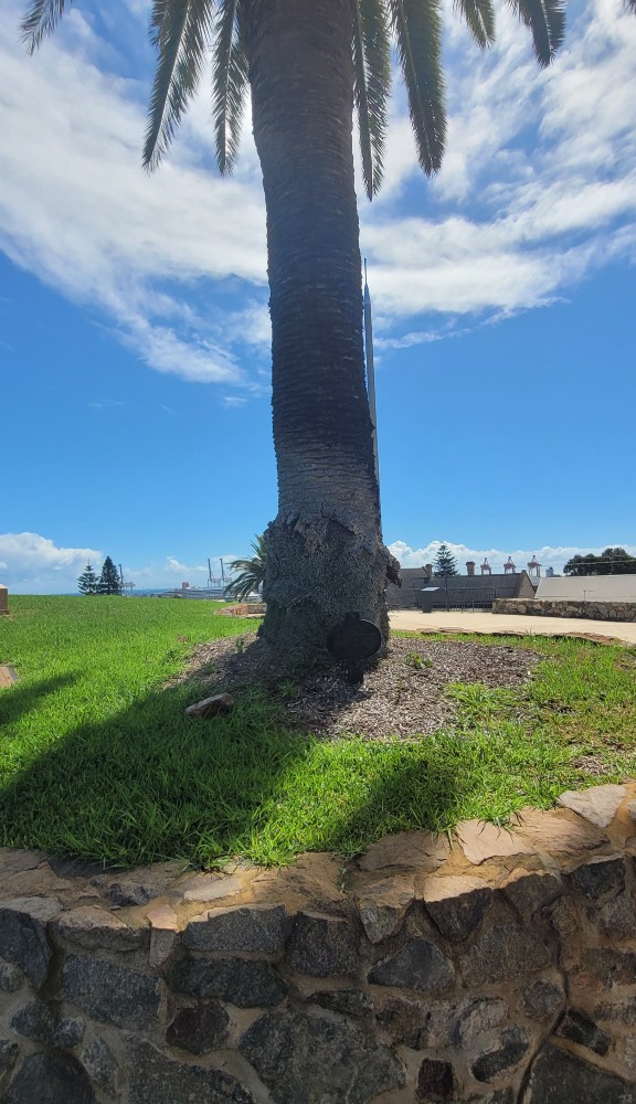 War Memorial Park Fremantle #3