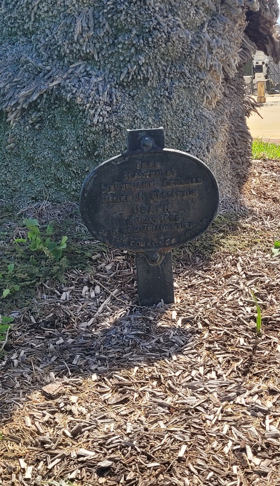 War Memorial Park Fremantle #4