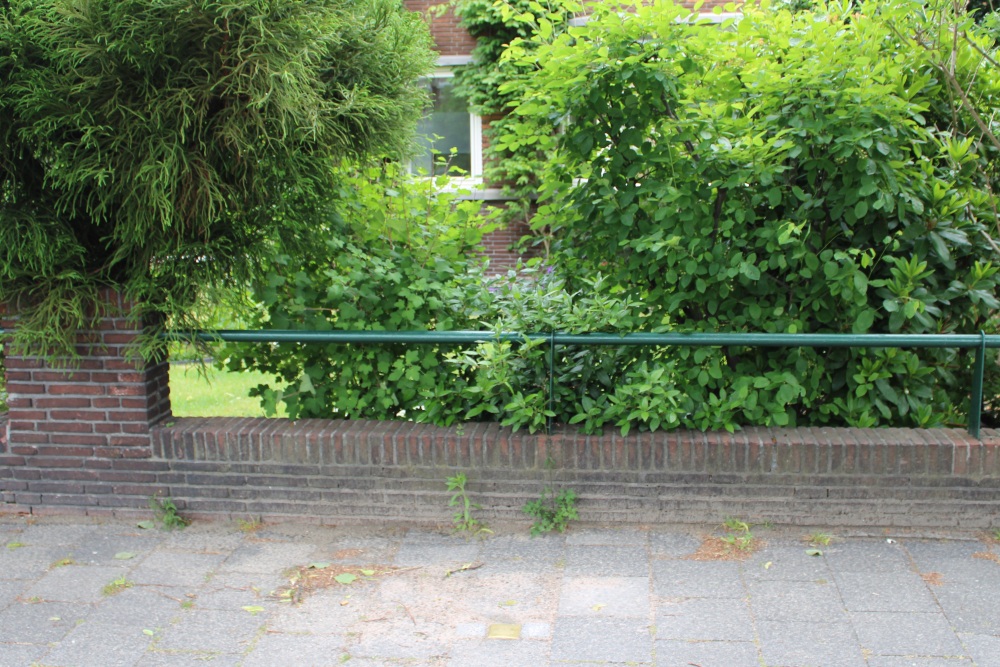 Stolperstein Laan van Nieuw Oosteinde 243 #2