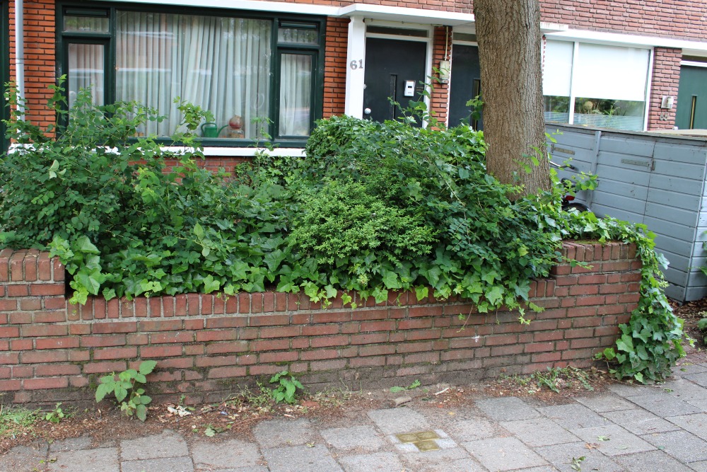 Stolpersteine Van der Palmstraat 61 #5