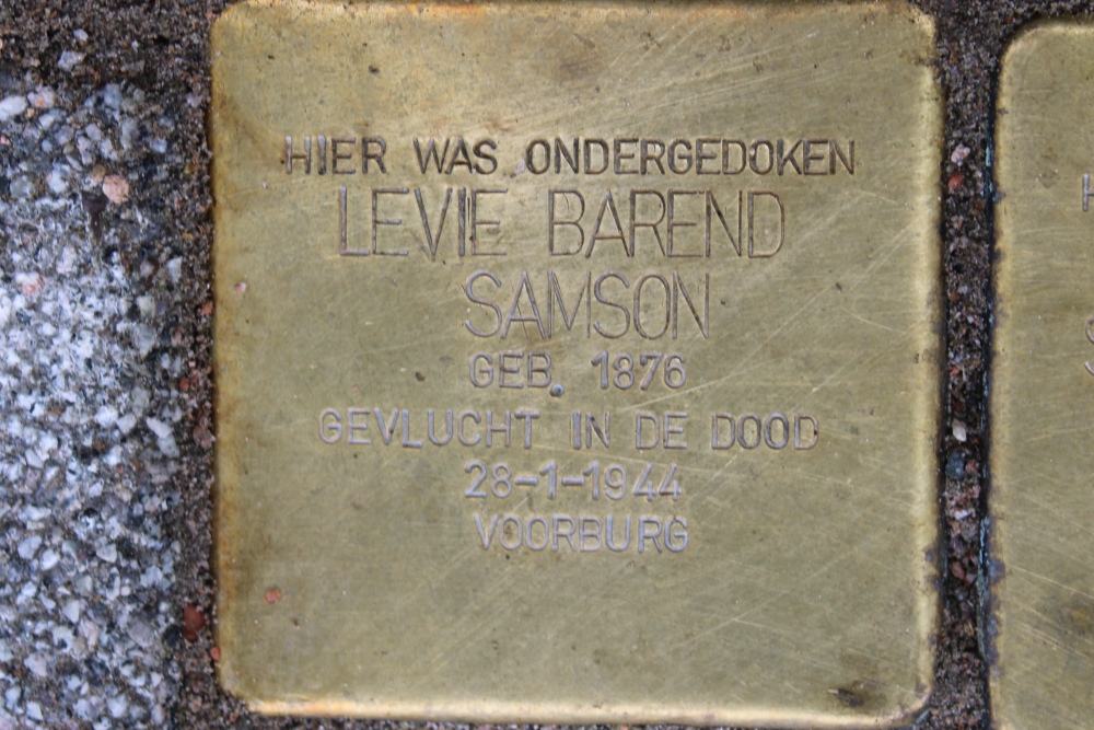 Stumbling Stones Laan van Middenburg 13 #2