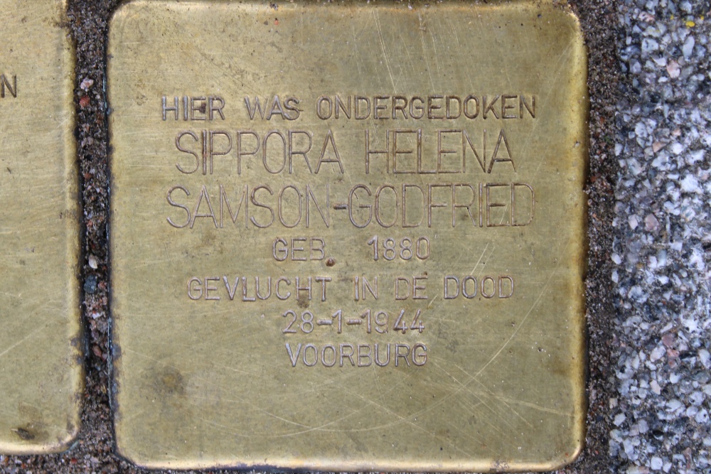 Stumbling Stones Laan van Middenburg 13 #3