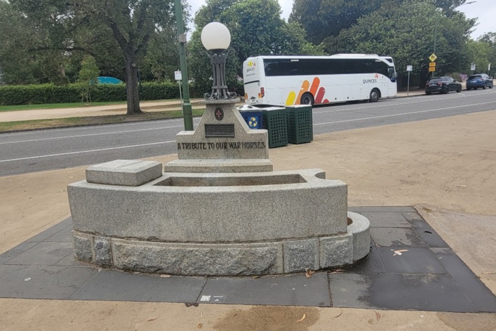 Purple Cross Horse Trough #1