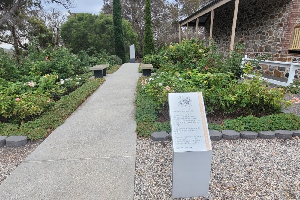 Heritage Rose Garden #1