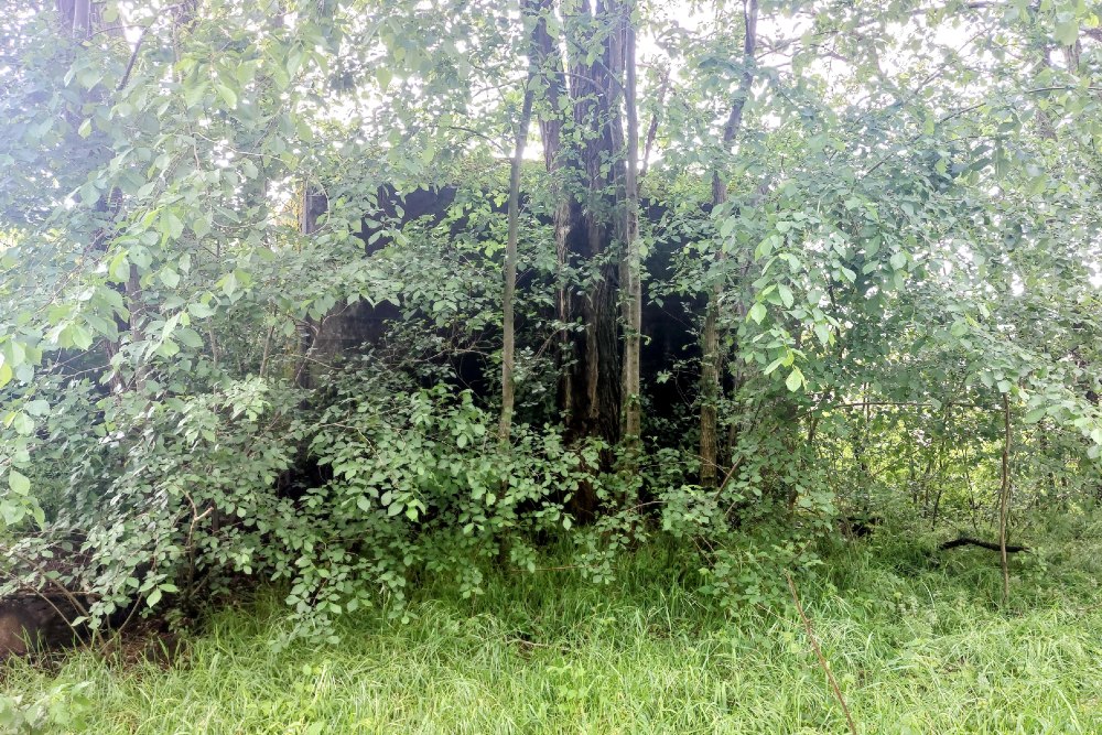 Casemate Peel-Raamstelling B (270) 345