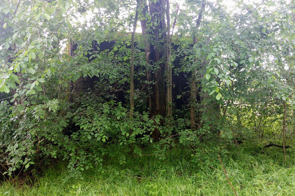 Casemate Peel-Raamstelling B (270) 345 #2