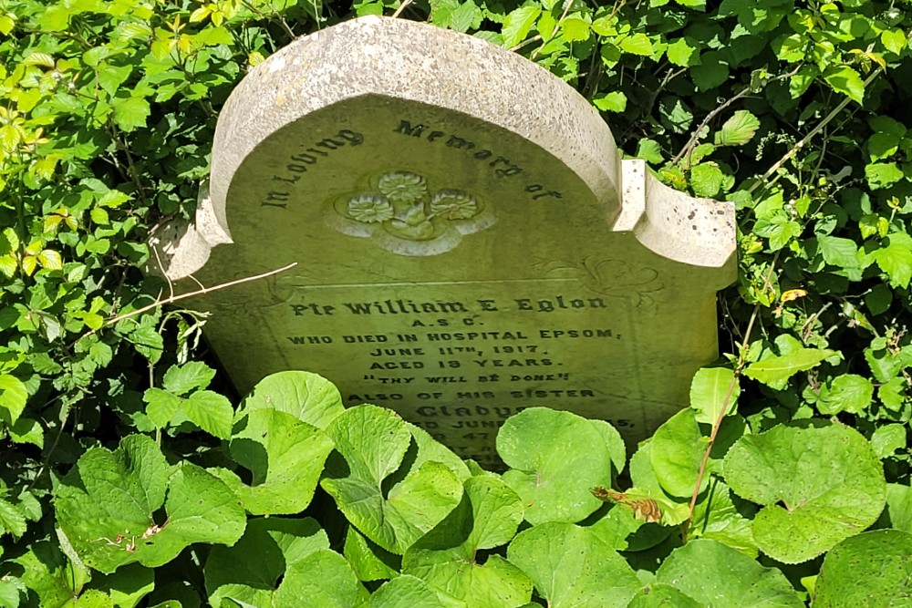 Commonwealth War Graves St. Mary Churchyard #1