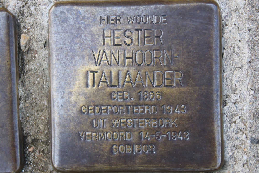 Stumbling Stones Koningstraat 60 #3