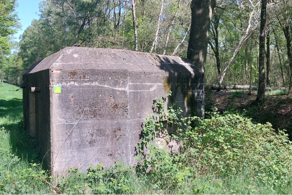 Casemate Peel Raamstelling S-K41 #5