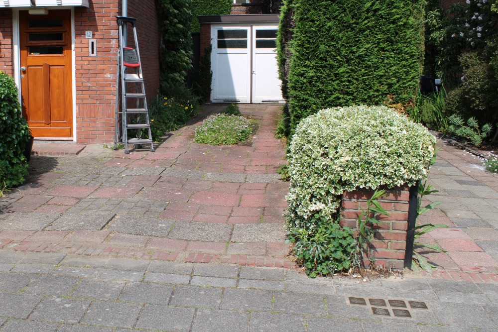 Stumbling Stones Regentesselaan 42 #8