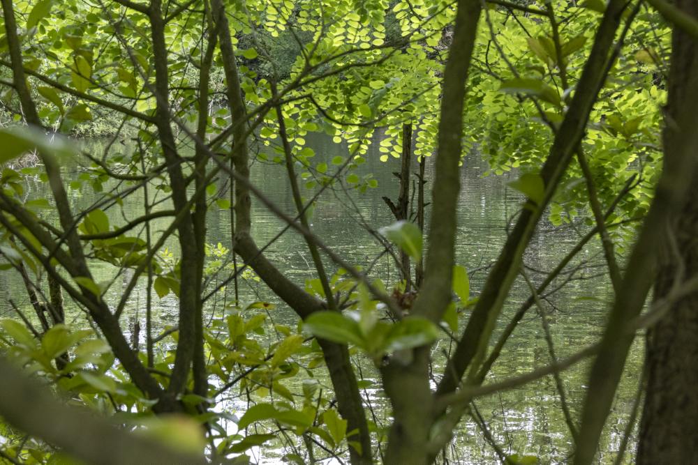 Vughtse Lunette - Lunet IV #2