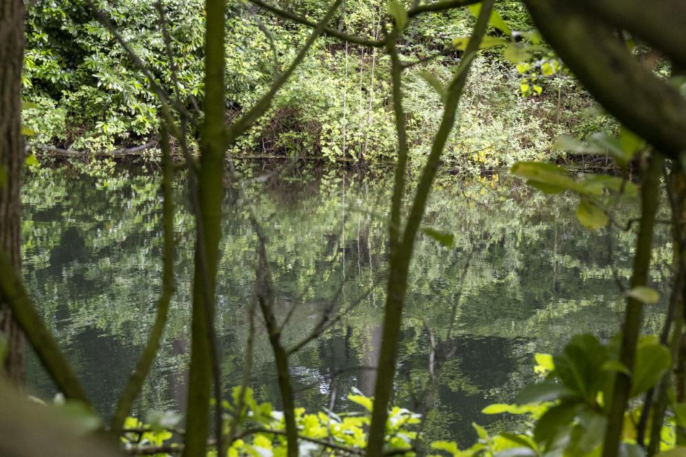 Vughtse Lunette - Lunet IV #3