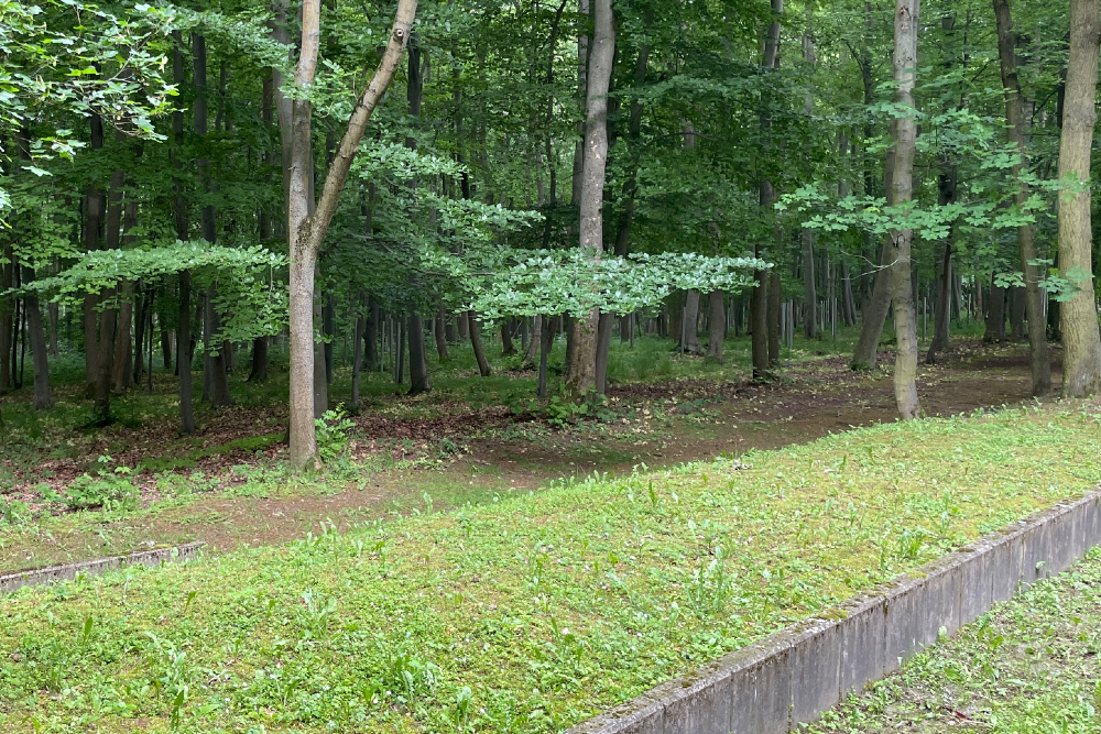 Camp Cemetery NKVD Camp No. 2 #6