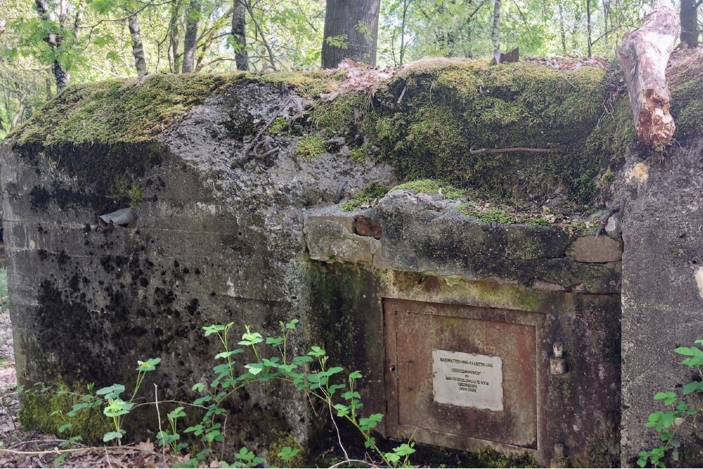 Casemate Peel Raamstelling S-K43 #4
