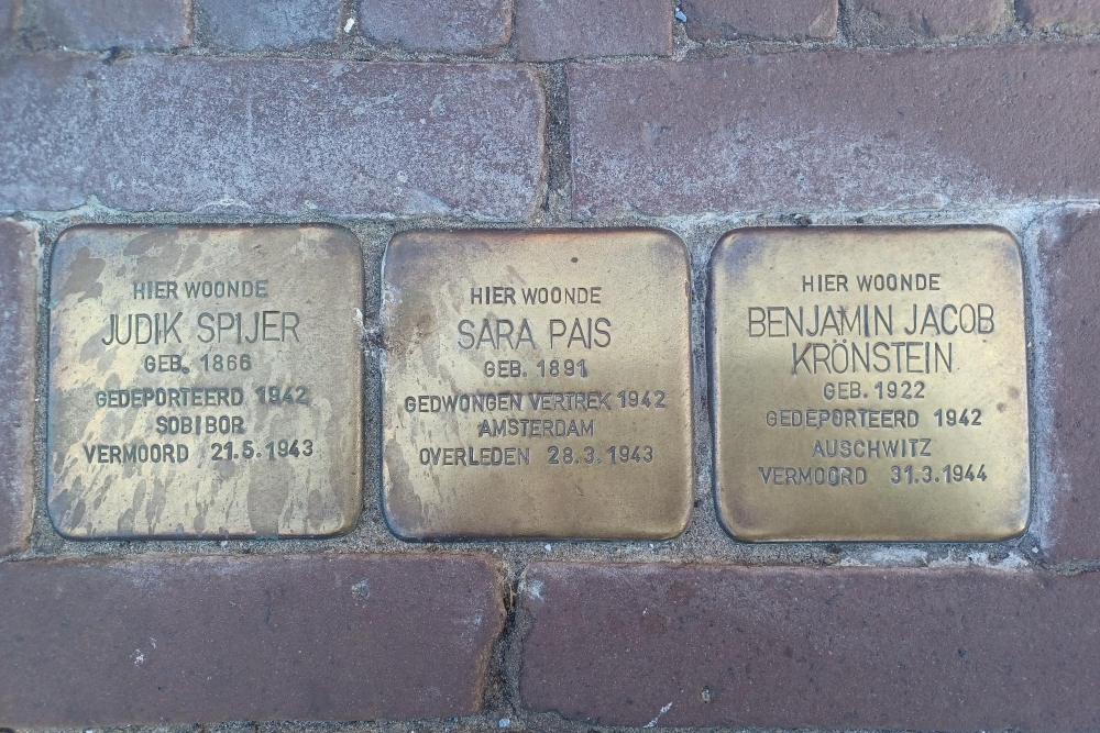 Stumbling Stones Boomstraat 1 #2