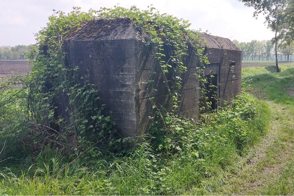 Casemate Peel Raamstelling S-K46 #4