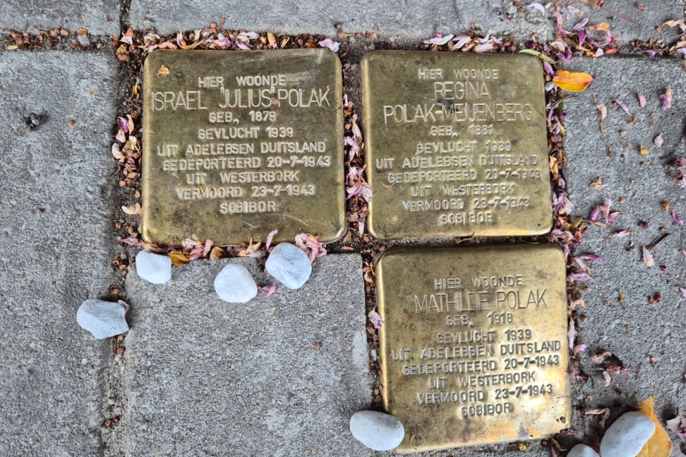 Stumbling Stones H. Kamerlingh Onnesweg 29 #3