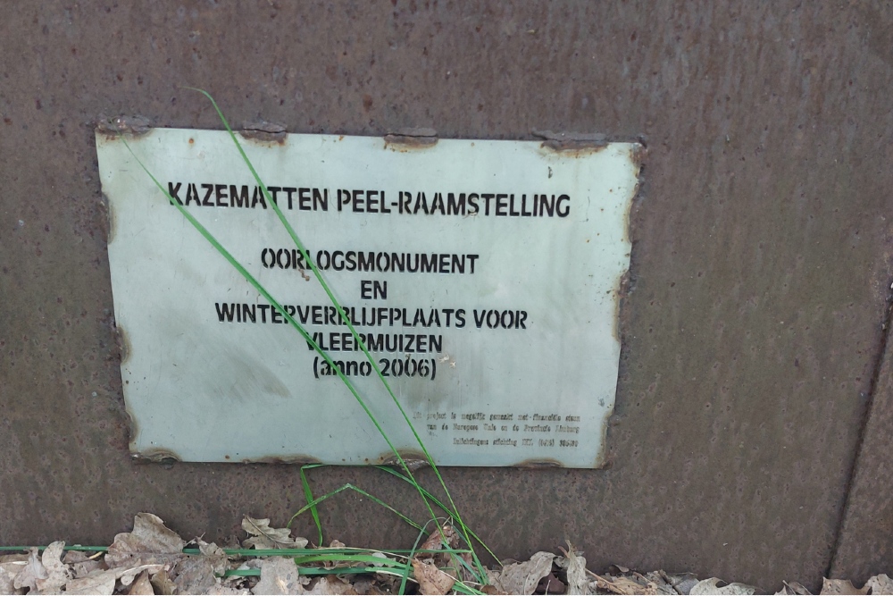 Kazemat Peel Raamstelling S-K49 #4