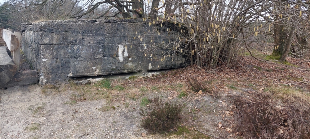 Voormalig Duits Oefenterrein Maasmechelen #2
