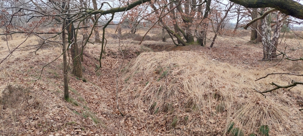 Voormalig Duits Oefenterrein Maasmechelen #4