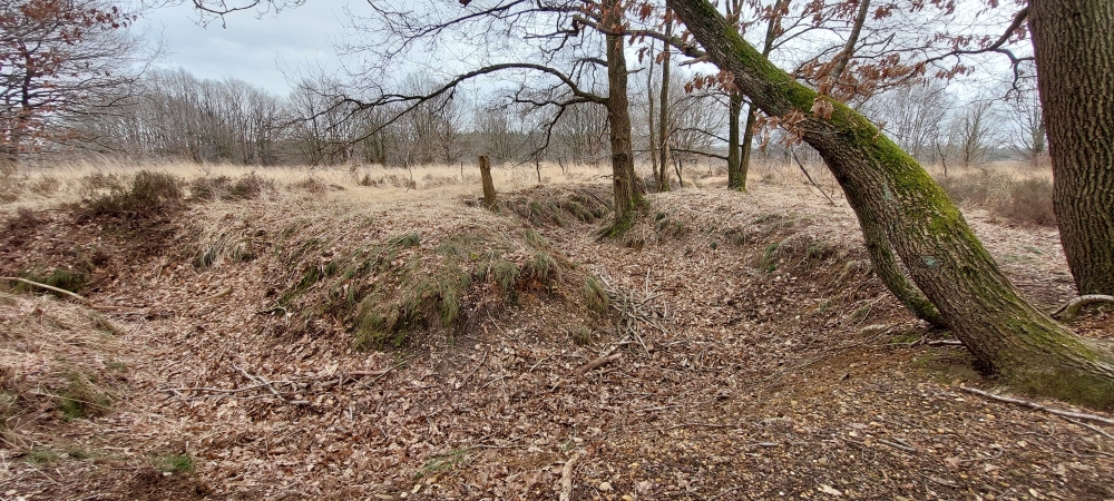 Voormalig Duits Oefenterrein Maasmechelen #5