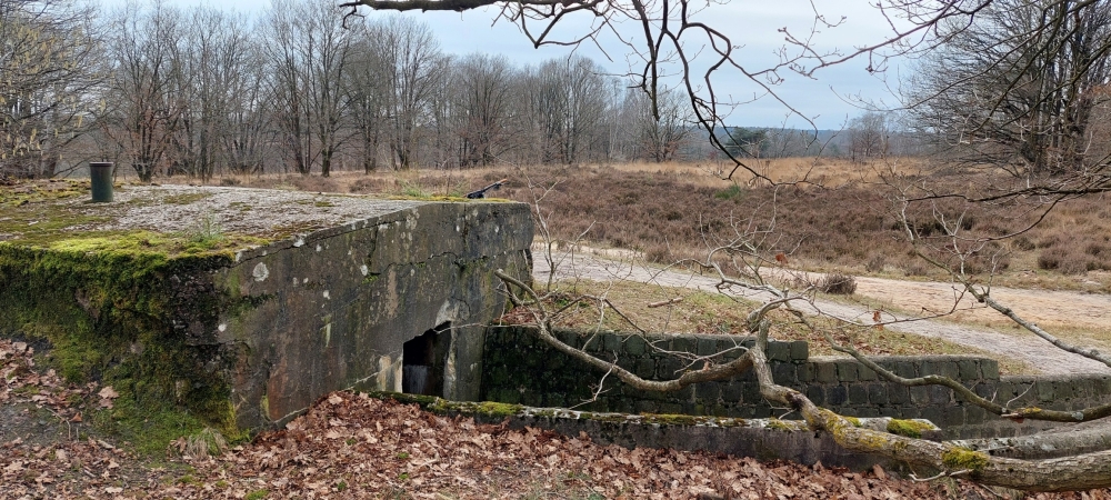 Voormalig Duits Oefenterrein Maasmechelen #6