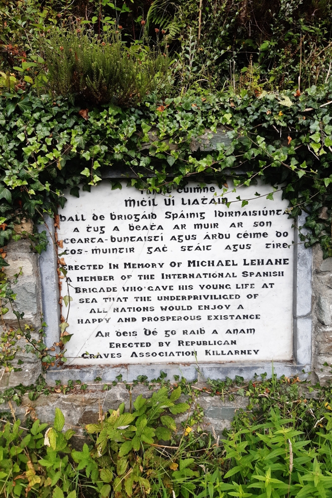 Gedenkteken Michael Lehane Morley's Bridge #2