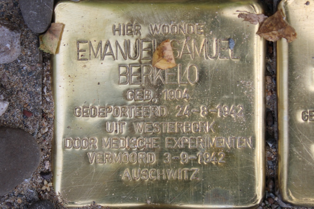 Stolpersteine Bilderdijkstraat 15bis #2