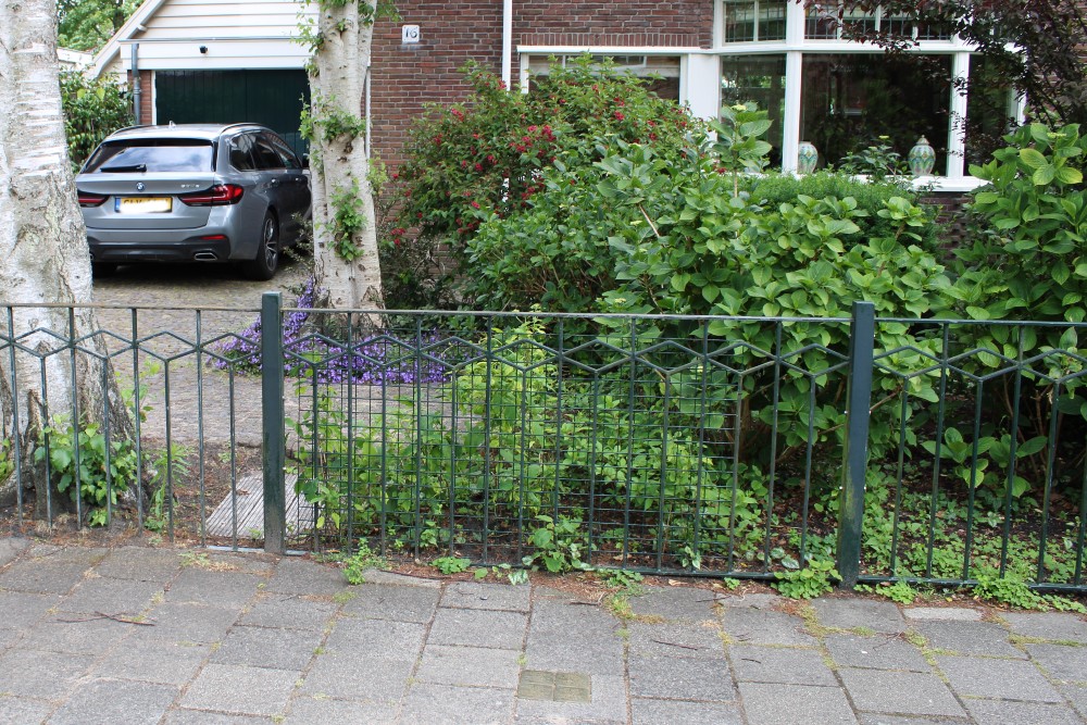 Stolpersteine Narcissenlaan 16 #6