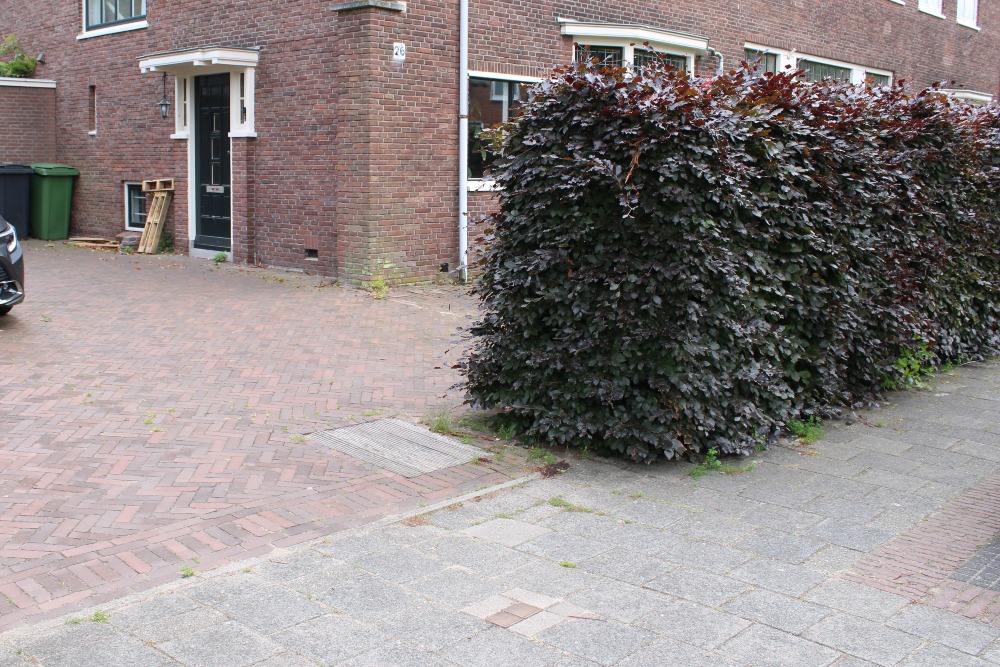 Stolpersteine Narcissenlaan 26 #4