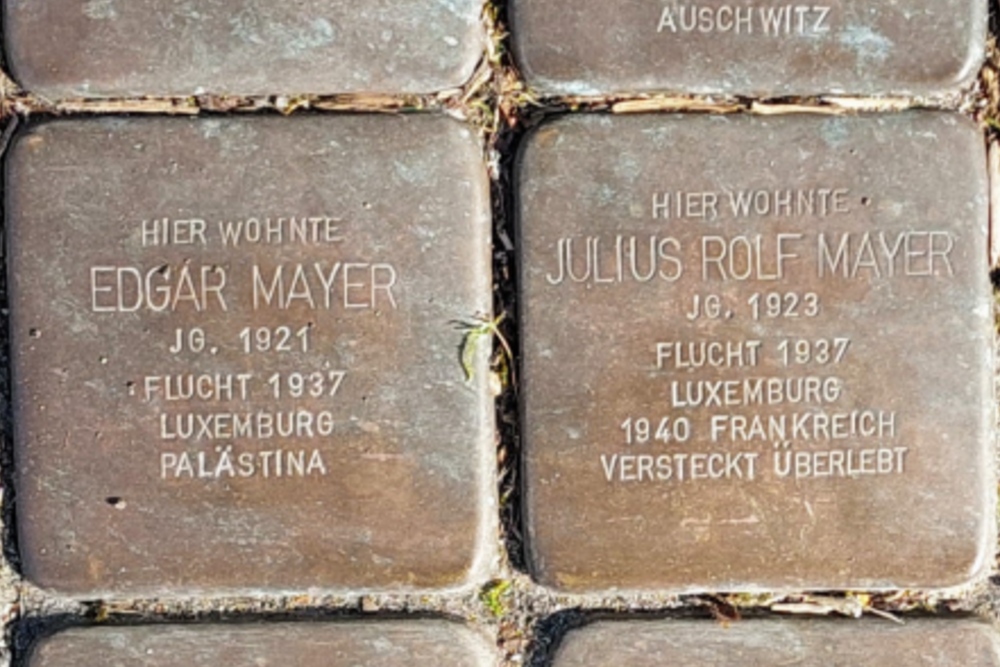 Stolpersteine Lindenallee 6 #4