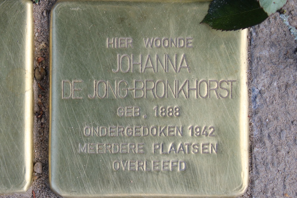 Stolpersteine Moliërelaan 8 #3