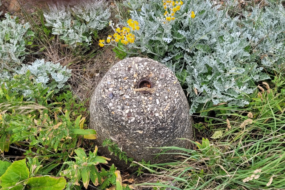 Anti Tank Buoys Brighton