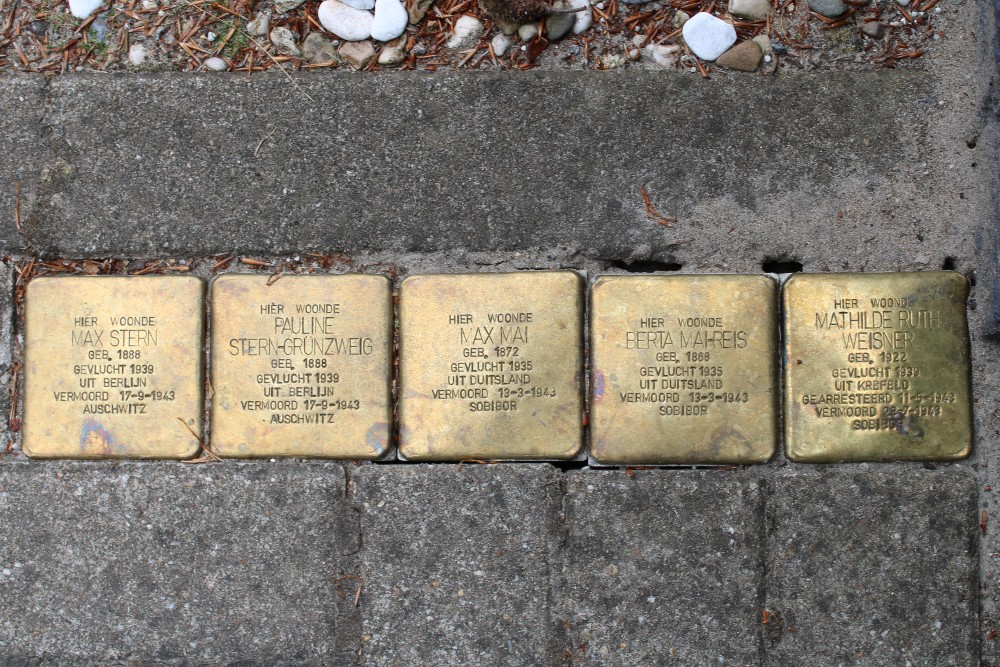 Stumbling Stones Gezichtslaan 54