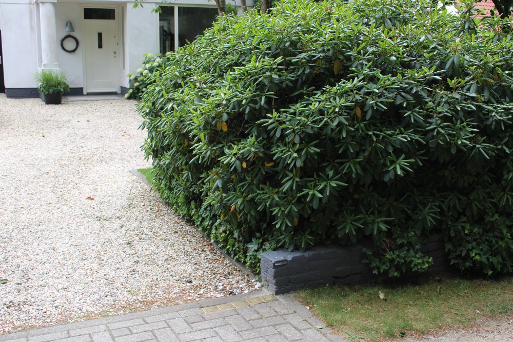 Stolpersteine Gezichtslaan 54 #7