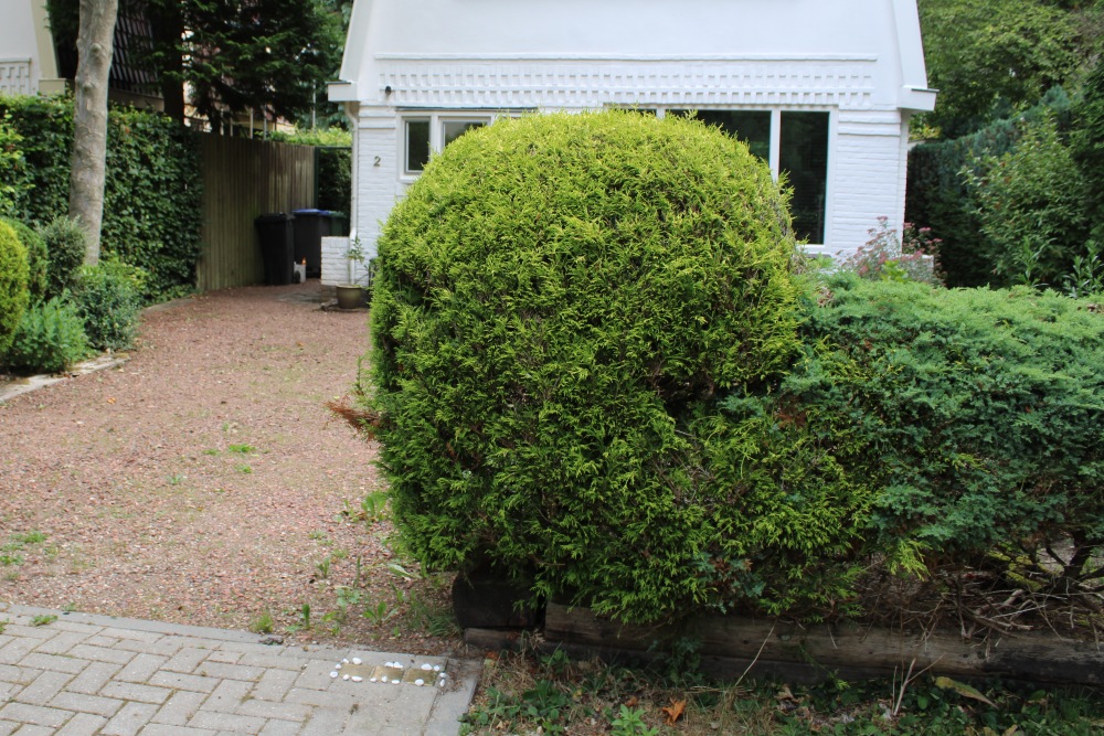 Stumbling Stones Frans Halslaan 2 #5