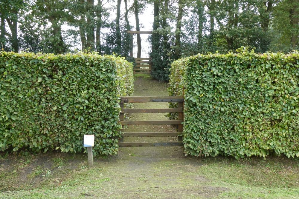 Memorial Jewish Cemetery Noordwolde #6