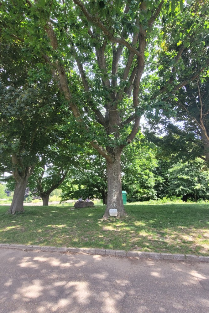 Herdenkingsboom Maidstone #2