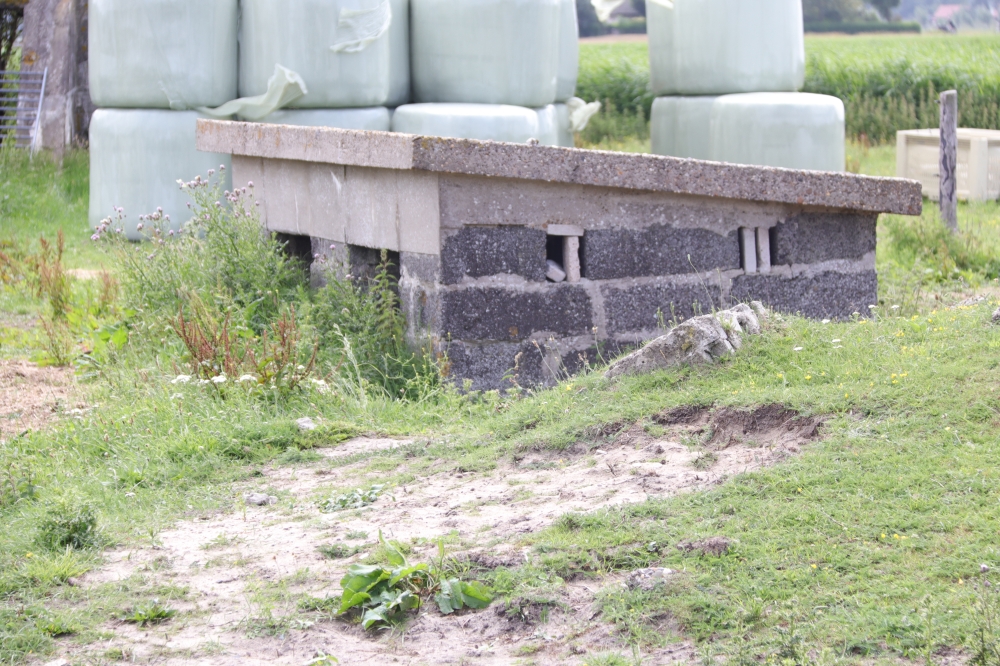 Fliegerhorst Bergen: W.N.4 - Munitiebergplaats (A10)