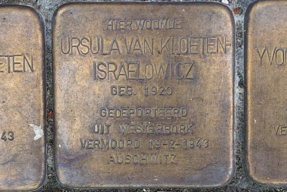 Stolpersteine Newtonplein 9 #3