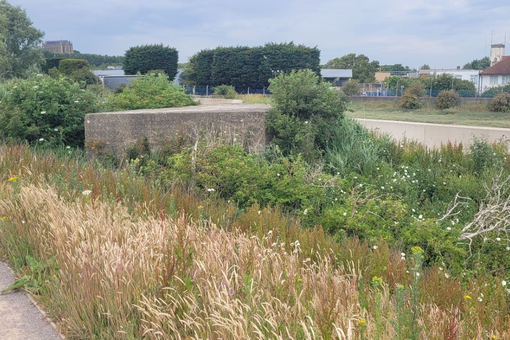 Pillbox FW3/24  Shoreham #3