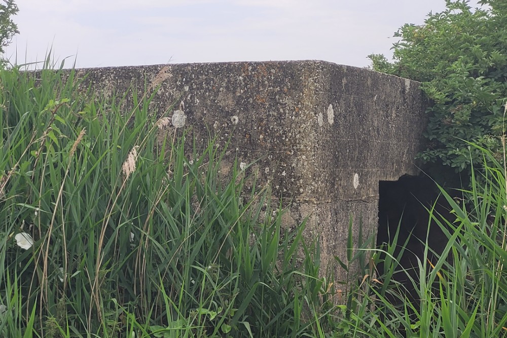 Pillbox FW3/24 Shoreham #2