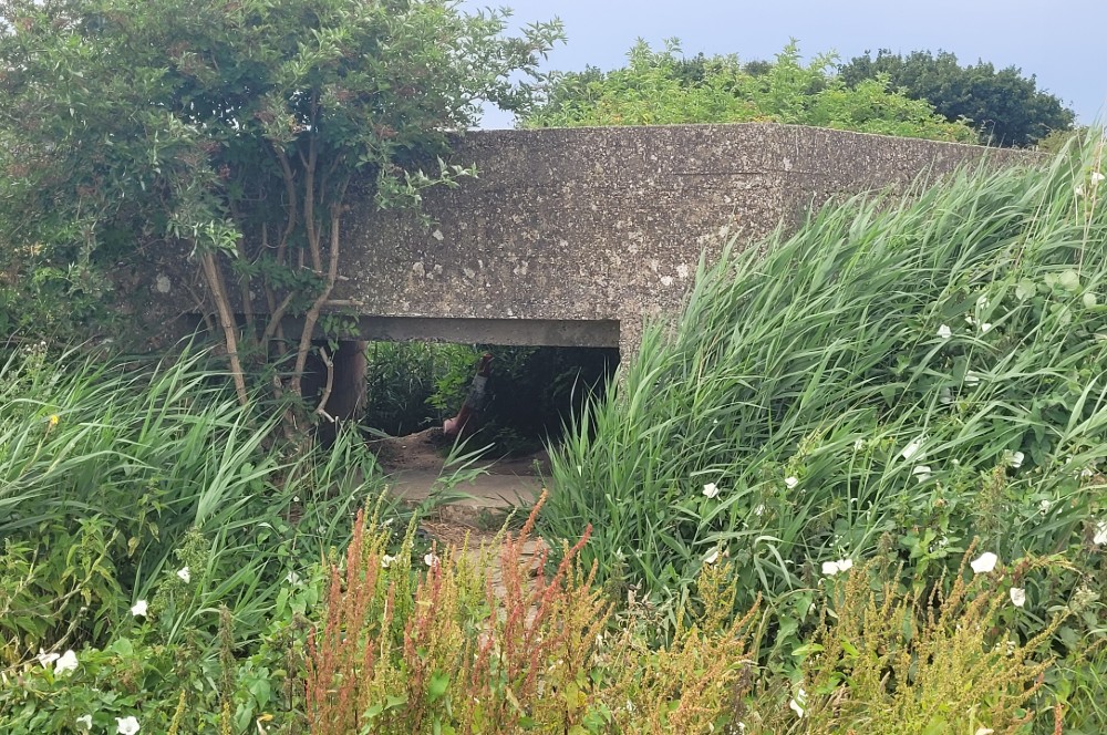 Pillbox FW3/24 Shoreham