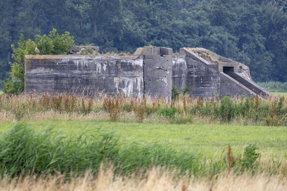 Fliegerhorst Bergen: W.N.3 - Küver 450b Bunker (C18) #2