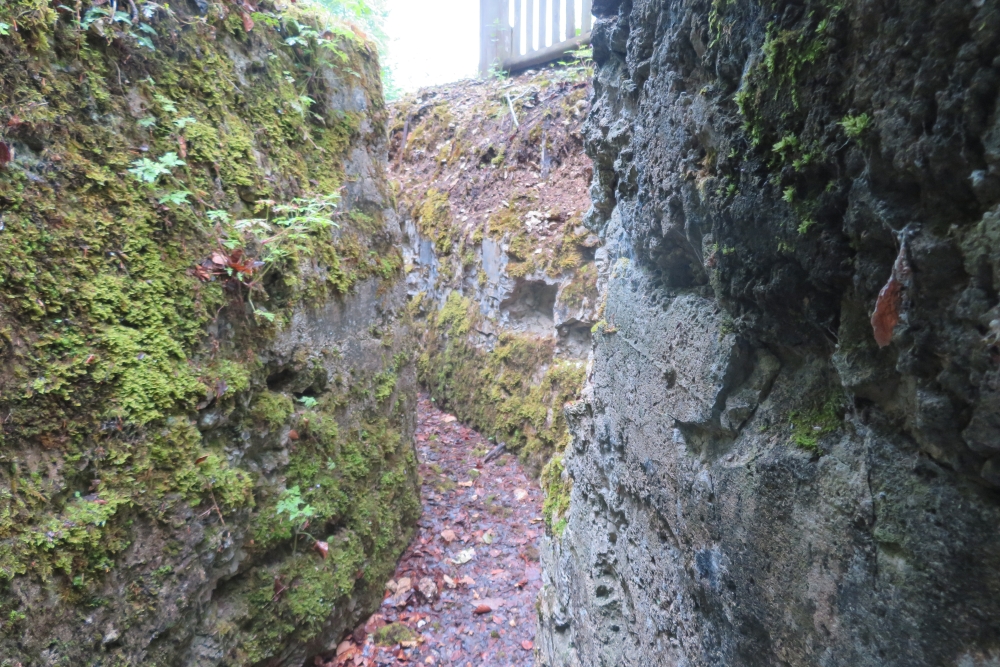 Uitkijkpost Apremont-la-Forêt #6