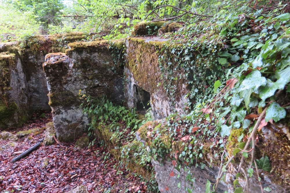 Duitse Loopgraaf Apremont-la-Forêt #5