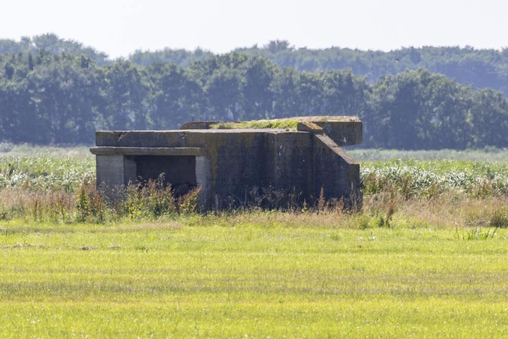 Fliegerhorst Bergen: Wn. 3 - L15 Bunker (C27) #2