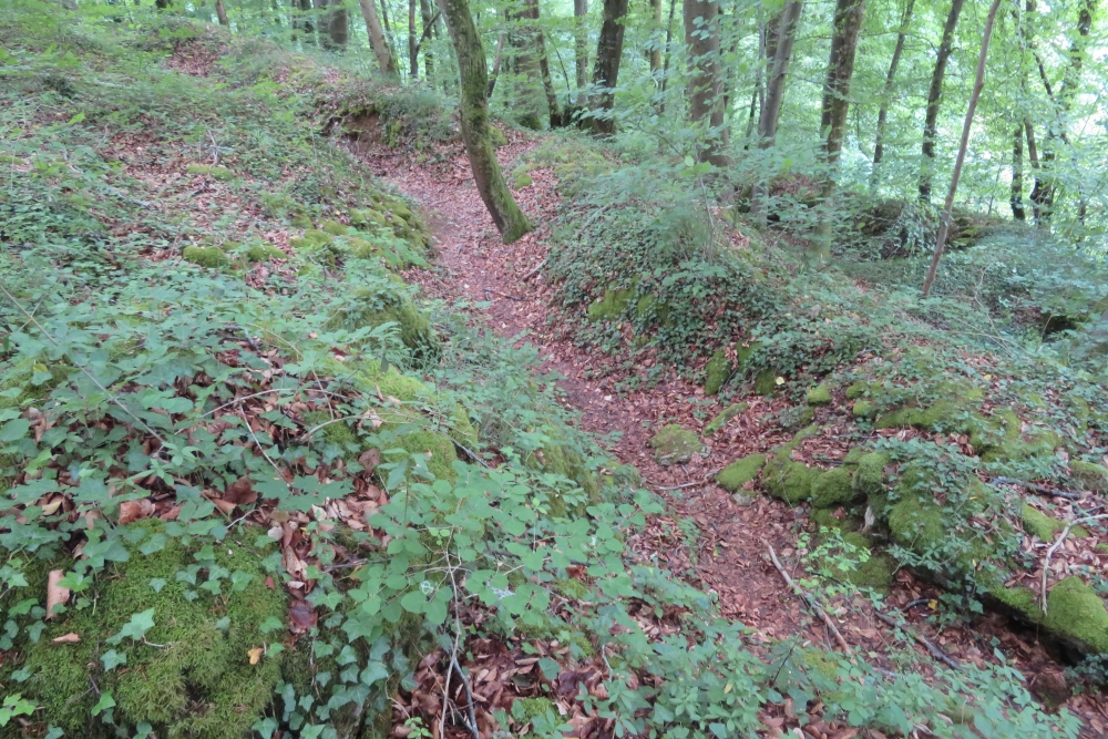Franse loopgraaf Montauville