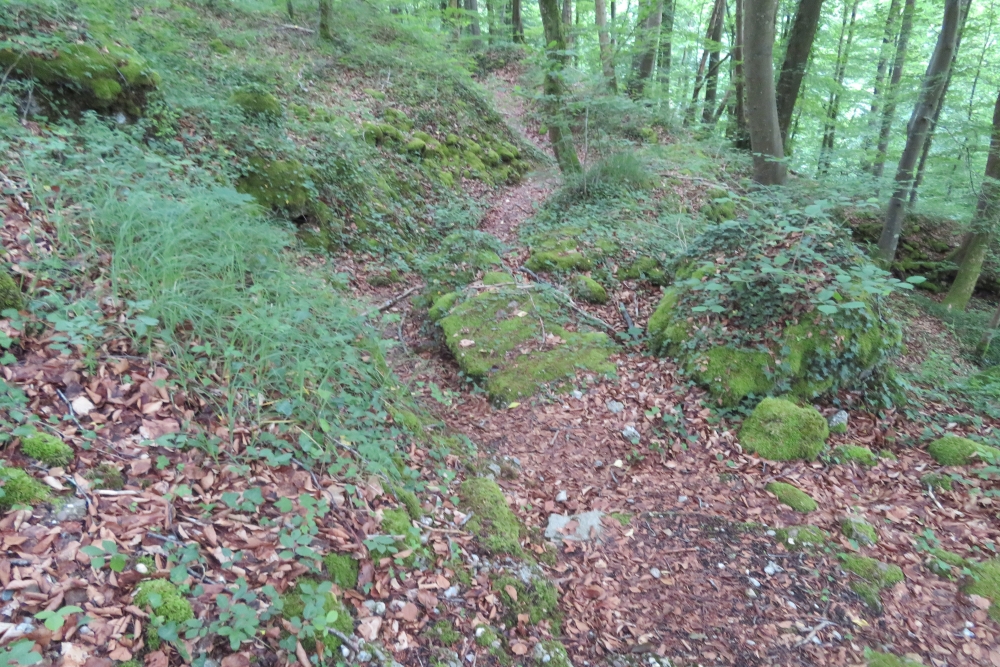 French Trench Montauville #2